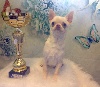  - BEST IN SHOW POUR MY SNOW ANGEL!!!!!