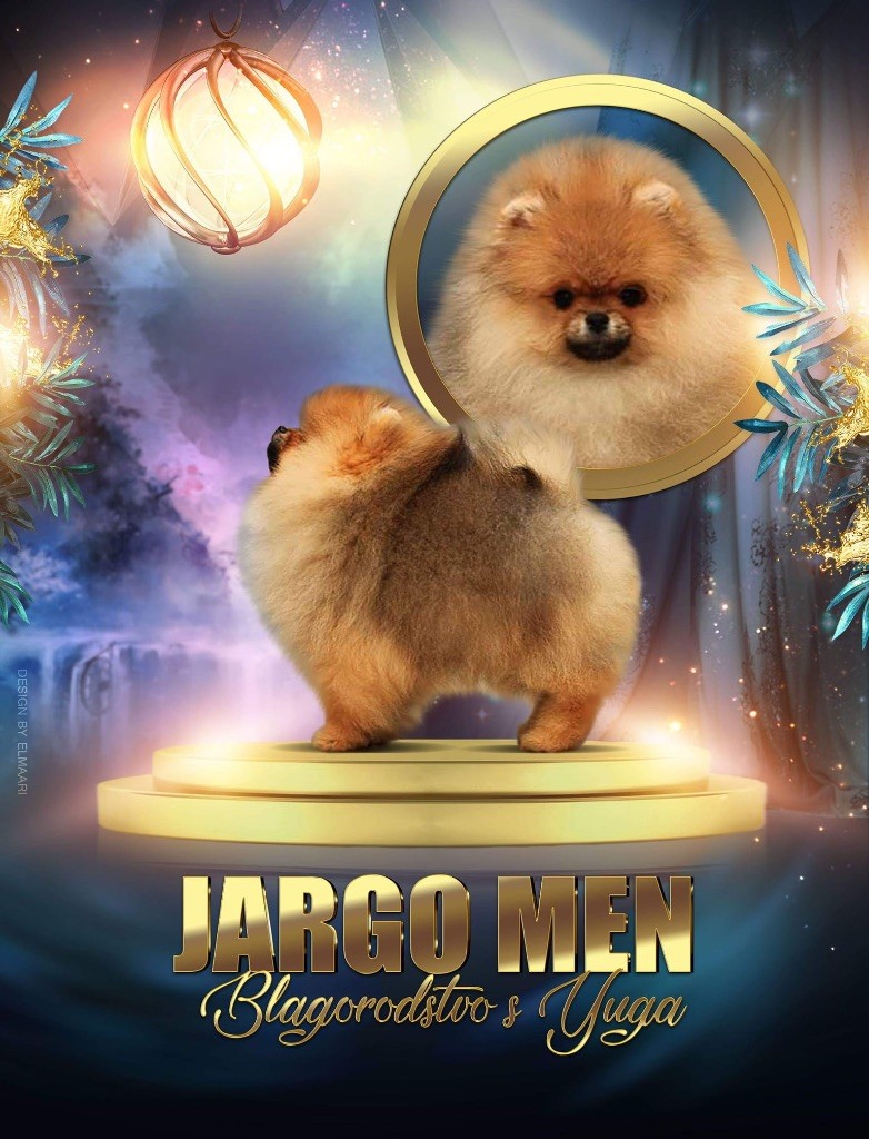 Jargo men blagorodtsvo s yuga